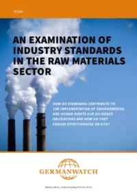 Cover of An Examination of Industry Standards in the Raw Materials Sector