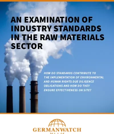 Cover of An Examination of Industry Standards in the Raw Materials Sector