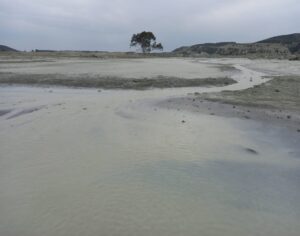 Lonely tree after the Jagersfontein mine tailings spill. Credit: MACUA