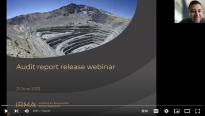 Screenshot of webinar