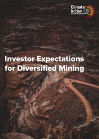 Cover of Investor Expectations for Diversified Mining