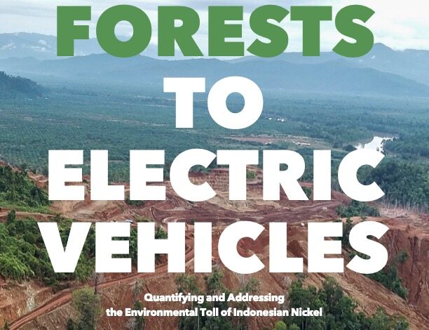 From Forests to Electric Vehicles cover