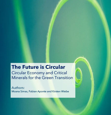 Cover of WWF The future is circular