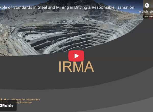 Thumbnail of just transition webinar