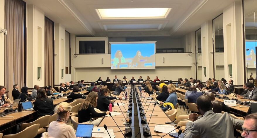 UNEP-IRMA Side Session. Credit: Kristi Disney Bruckner