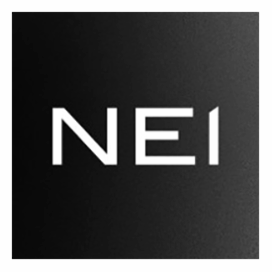 NEI Investments logo
