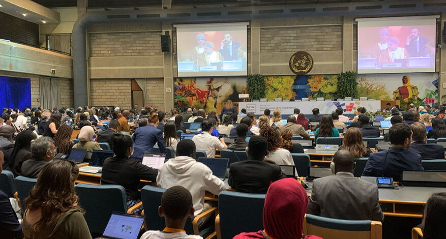 UNEA-7. Credit: IRMA