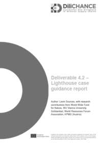 DiliCHANCE case study cover