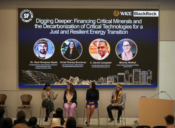 Bridging the Capital Gap: Blended Finance for Renewable Energy and Critical Minerals Technologies