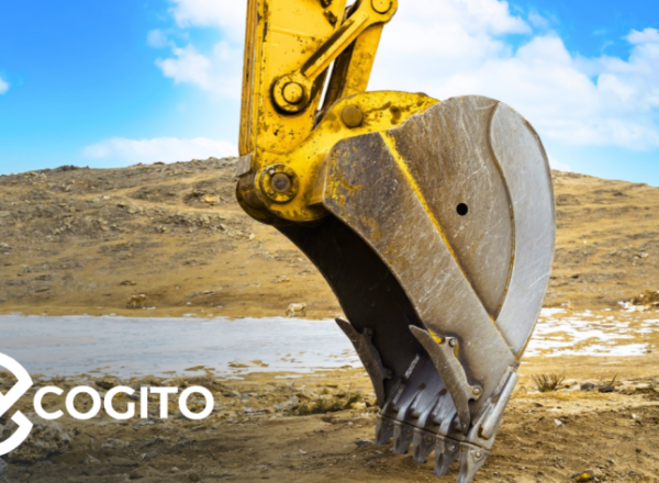 OECD Cogito header image